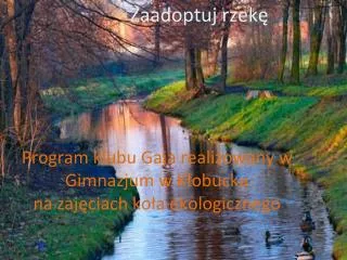 zaadoptuj rzek