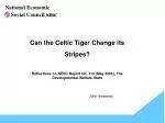 Exploring the Celtic Tiger's Impact on Ireland's Welfare State: Lessons and Strategies - slide 1