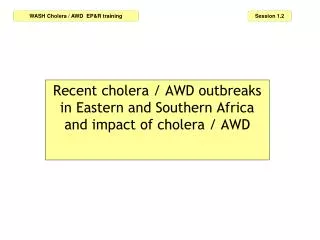 Recent cholera / AWD outbreaks in Eastern and Southern Africa and impact of cholera / AWD