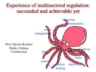 Experience of multisectoral regulation: succeeded and achievable yet