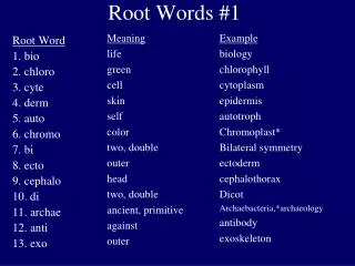 Root Words #1