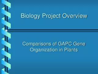 Biology Project Overview