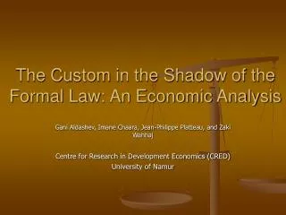 The Custom in the Shadow of the Formal Law: An Economic Analysis
