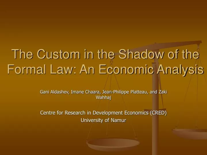 the custom in the shadow of the formal law an economic analysis