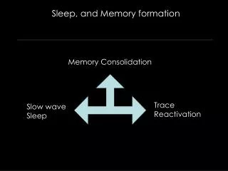 Sleep, and Memory formation