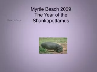 Myrtle Beach 2009 The Year of the Shankapottamus