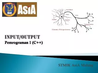 input output
