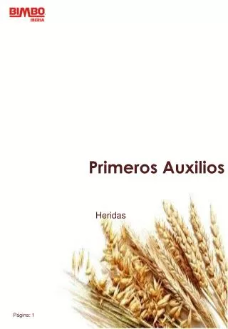 heridas