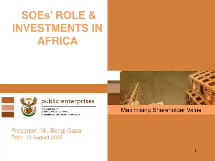 soes role investments in africa
