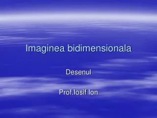 imaginea bidimensionala