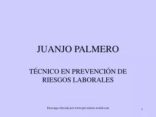 juanjo palmero