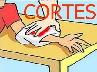 cortes