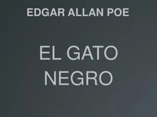 el gato negro