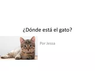 d nde est el gato