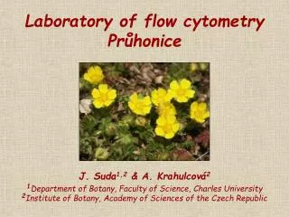 Laboratory of flow cytometry Pr?honice