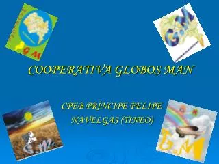 cooperativa globos man