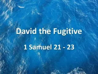 David the Fugitive