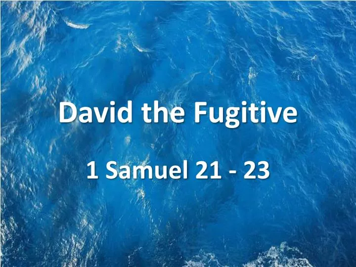 david the fugitive