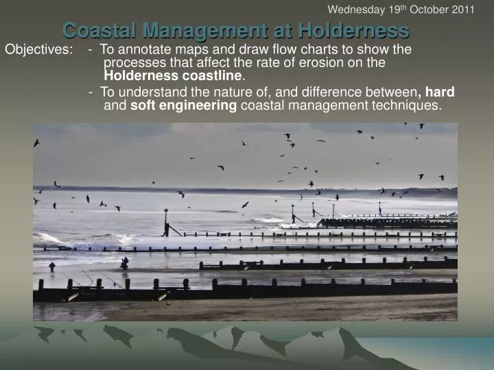 coastal management at holderness