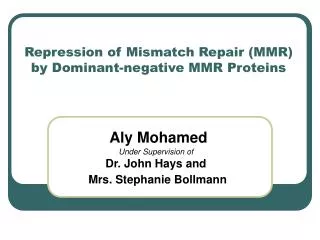 Repression of Mismatch Repair (MMR) by Dominant-negative MMR Proteins