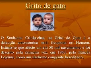 grito de gato