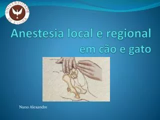 anestesia local e regional em c o e gato