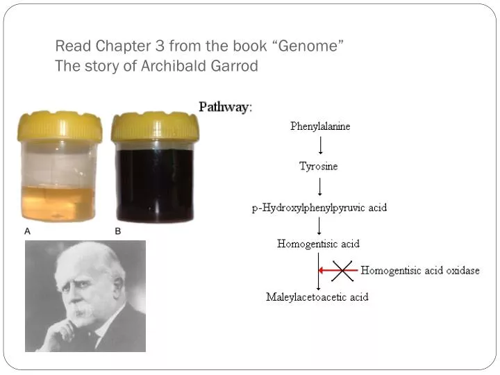 read chapter 3 from the book genome the story of archibald garrod
