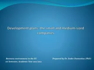 Development plans: the small and medium - sized companies