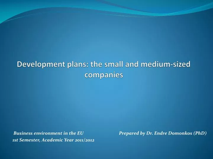 development plans the small and medium sized companies