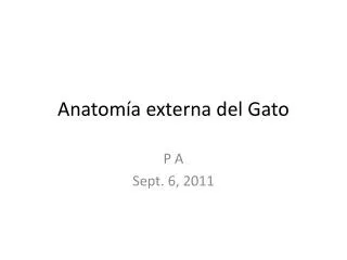anatom a externa del gato