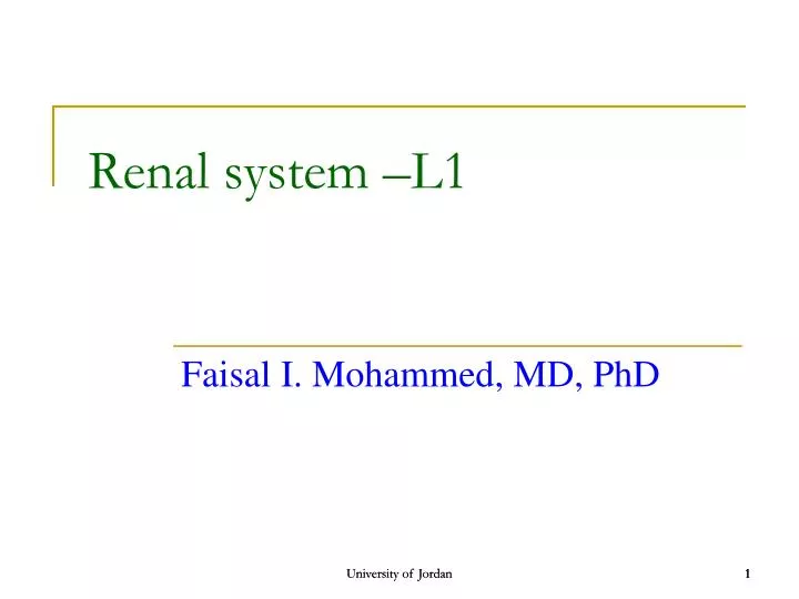 renal system l1
