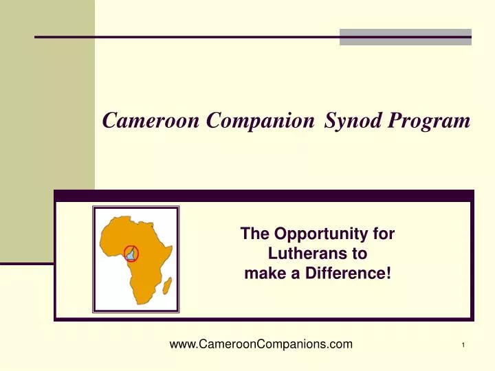 cameroon companion synod program