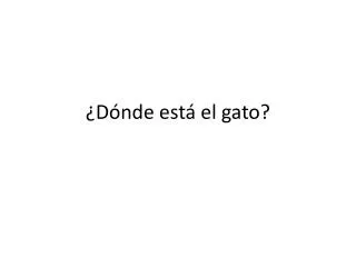 d nde est el gato