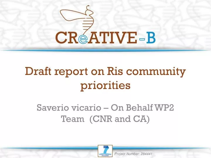 draft report on ris community priorities