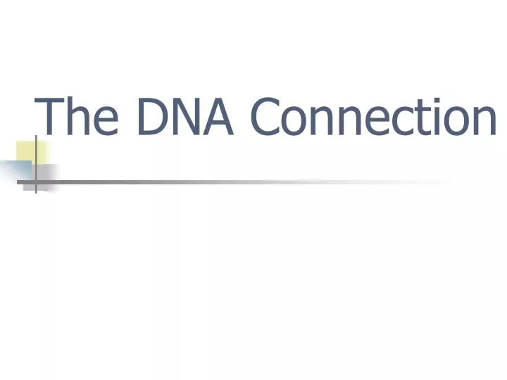the dna connection