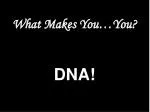 Discovering DNA: The Blueprint of Life and Its Role in Genetics - slide 1
