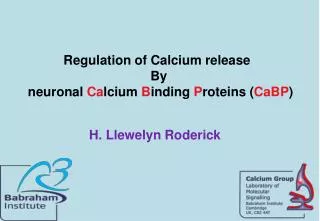 Regulation of Calcium release By neuronal Ca lcium B inding P roteins ( CaBP )