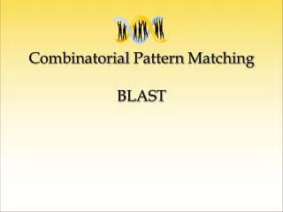 combinatorial pattern matching blast