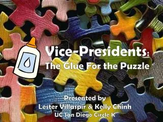 Vice-Presidents : The Glue For the Puzzle