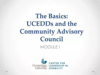 The Basics: UCEDDs and the Community Advisory Council