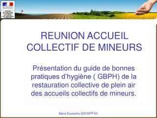 reunion accueil collectif de mineurs