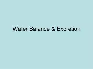 Water Balance &amp; Excretion