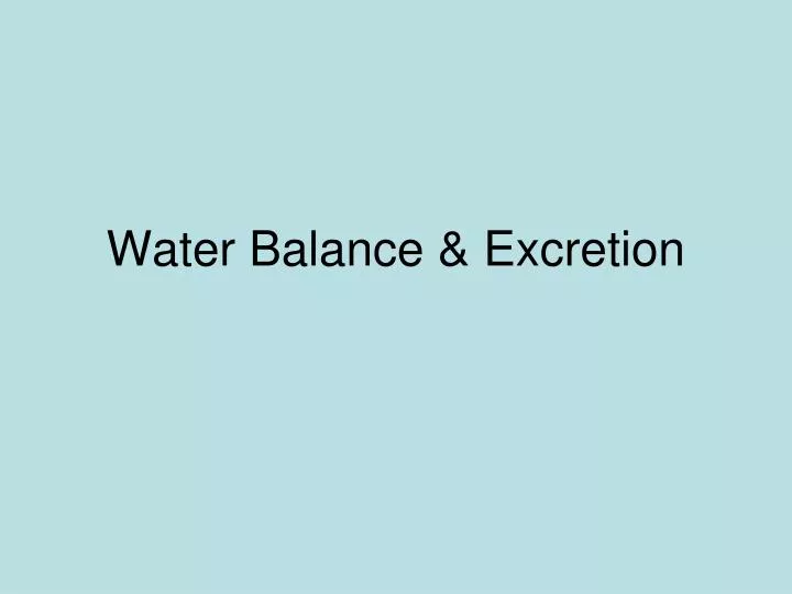water balance excretion