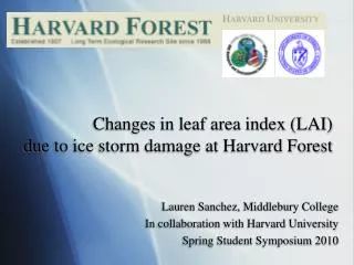 Changes in leaf area index (LAI) due to ice storm damage at Harvard Forest