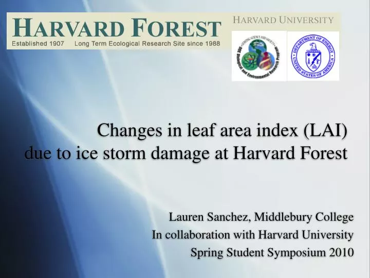 changes in leaf area index lai due to ice storm damage at harvard forest