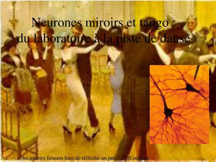 neurones miroirs et tango du laboratoire la piste de danse