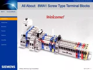 All About: 8WA1 Screw Type Terminal Blocks