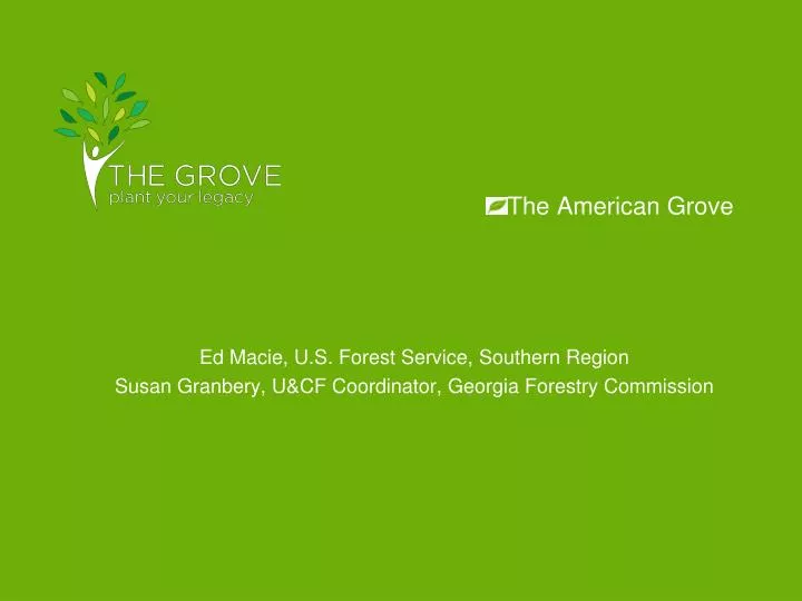 the american grove
