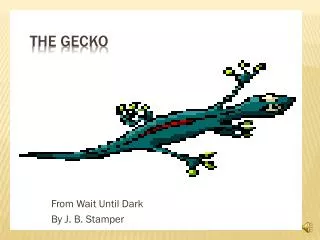 The Gecko