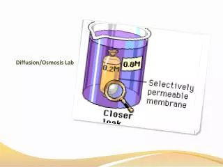 Diffusion/Osmosis Lab